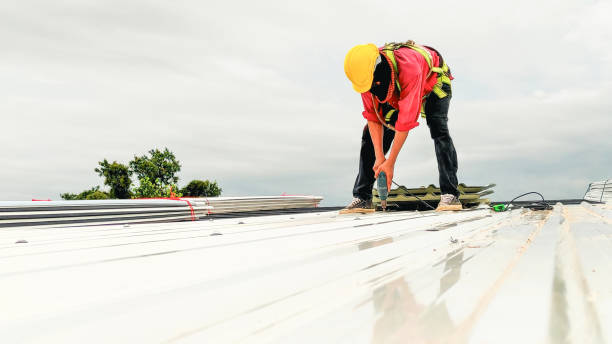 Best Steel Roofing  in Magnolia, TX